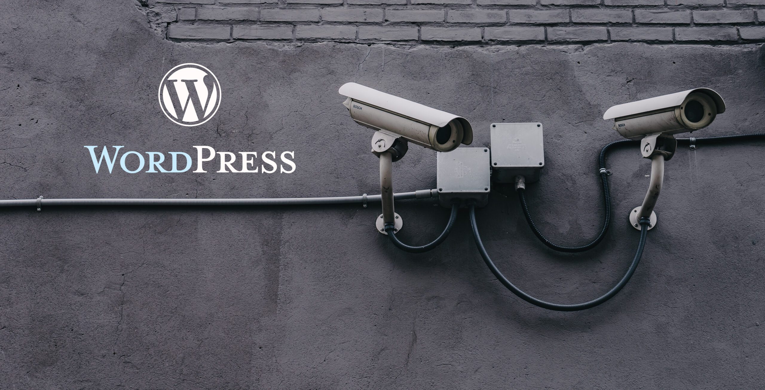 Fortify Your WordPress Fortress: A Comprehensive Guide to Website Security